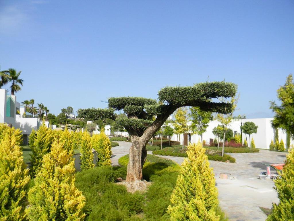 Limonero 17, Golf Club In Las Colinas Dehesa de Campoamor  Dış mekan fotoğraf